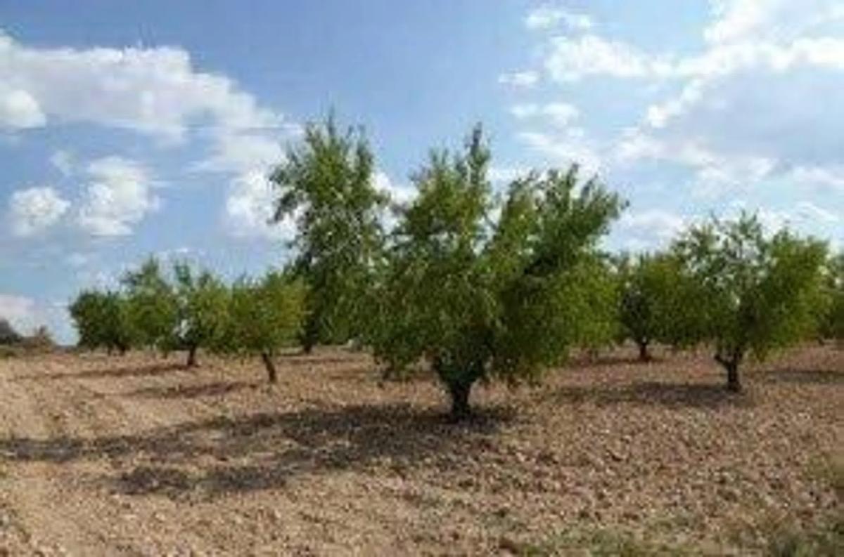 Terreno en venta en Jalance, Valencia photo 2