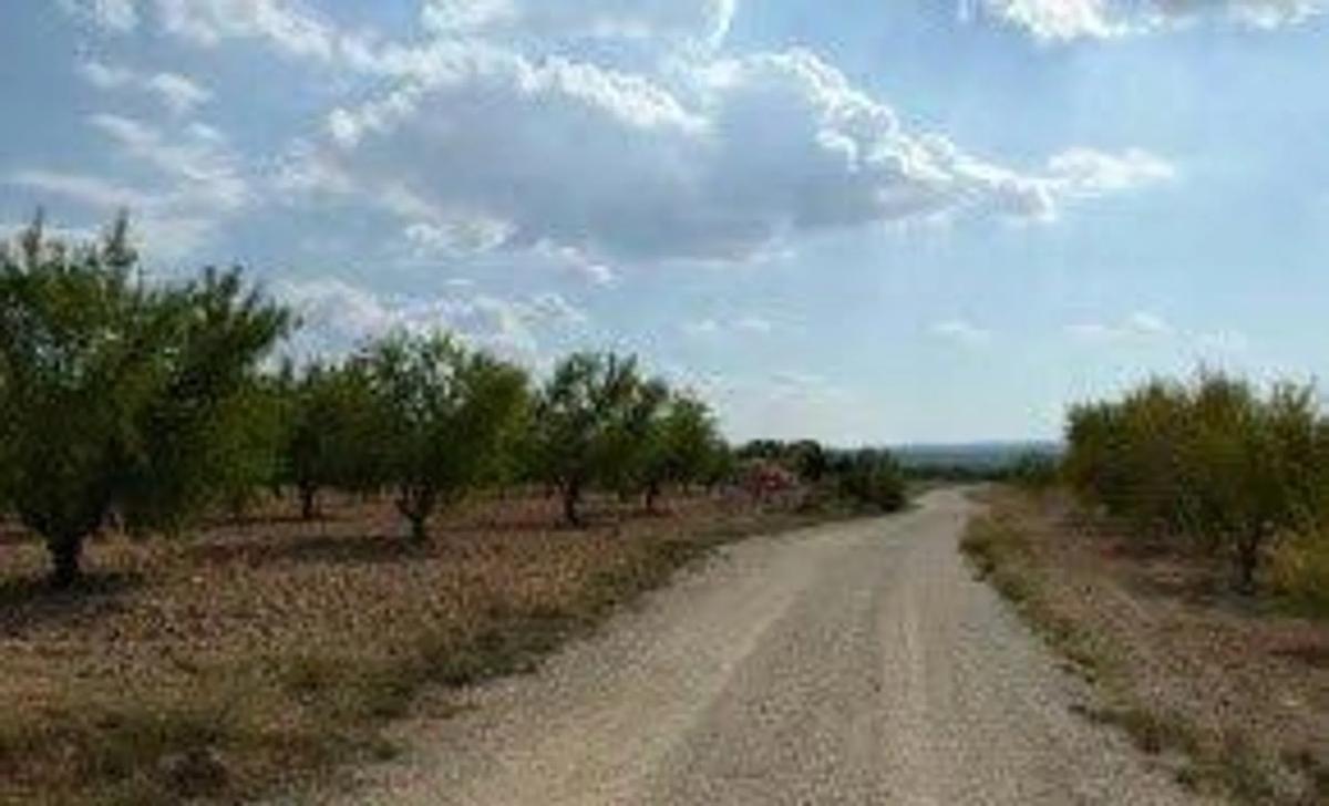 Terreno en venta en Jalance, Valencia photo 3