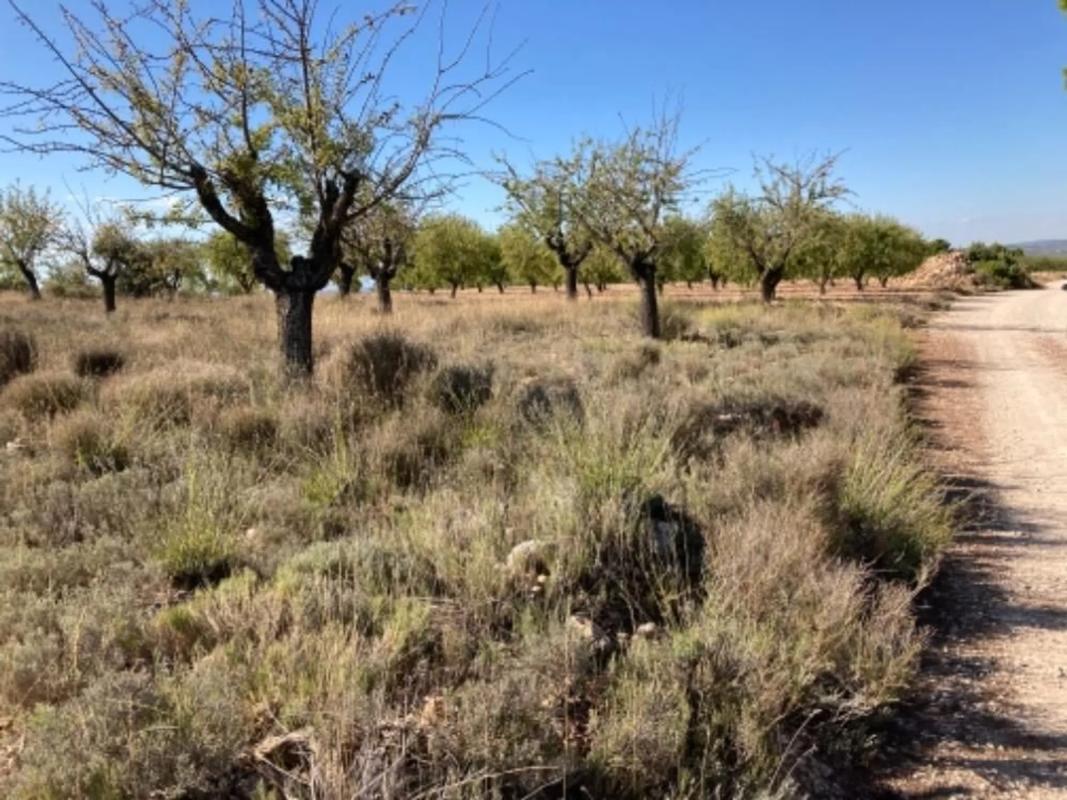 Terreno en venta en Jalance, Valencia photo 5