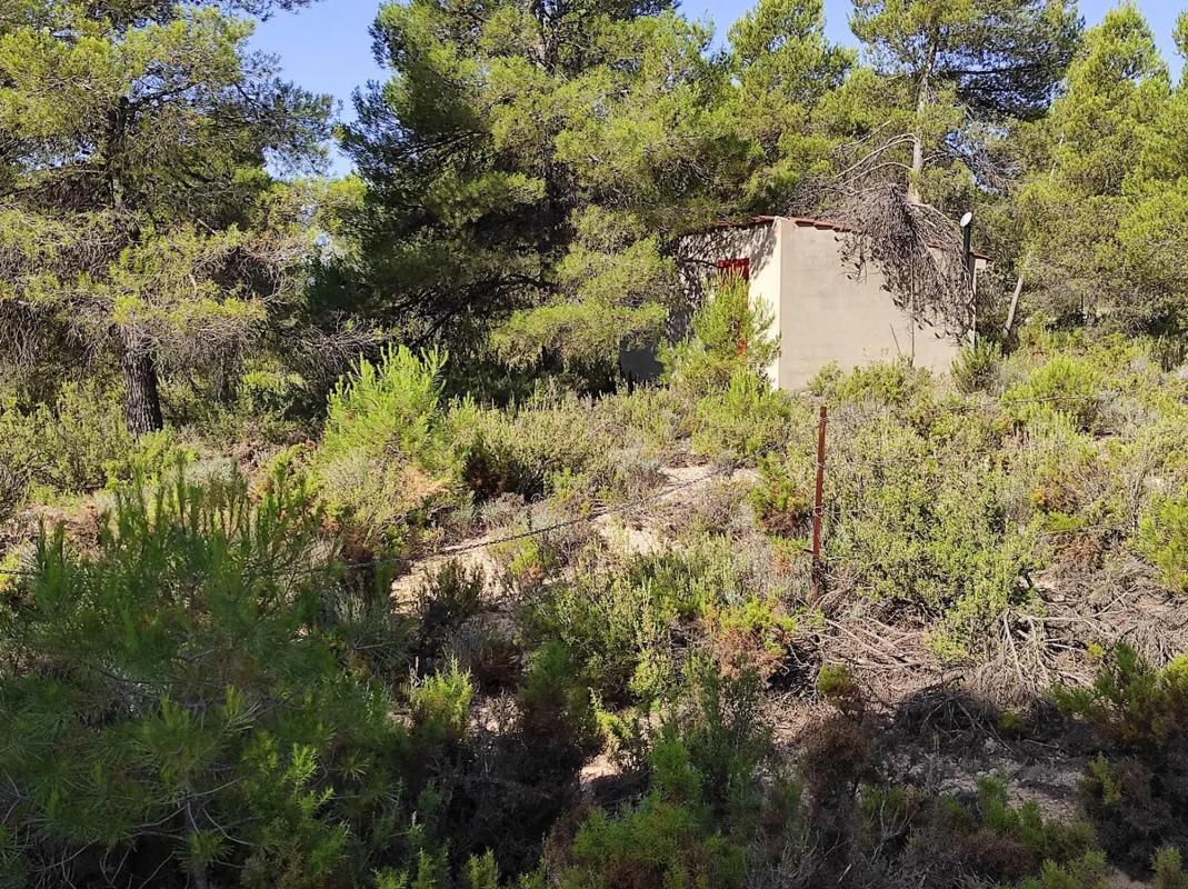 Terreno en venta en Ayora, Valencia photo 1