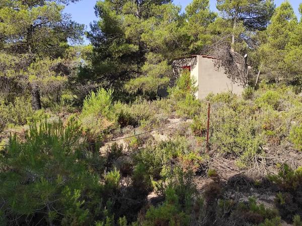 Terreno en Partida de Arciseco, km 437 photo 1