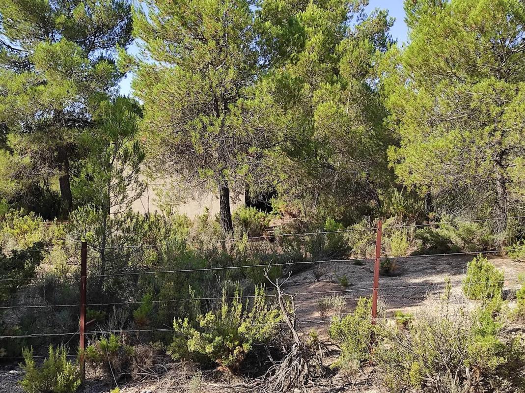Terreno en venta en Ayora, Valencia photo 4