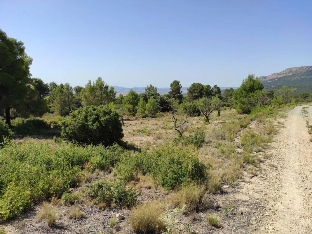 Terreno en venta en Ayora, Valencia photo 5