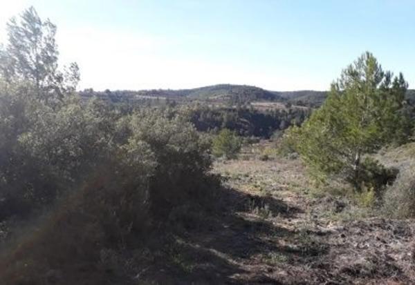 Terreno en En Termino De Yatova, Partida De La Cruz, Linda: Norte, Consuelo Lopez Fayos, Sur, Carretera Collado Uman: Este, Jose Iniesta Rodriguez y Otro, Oeste, Isabel Ortiz Carrascosa, km 50 thumbnail 2
