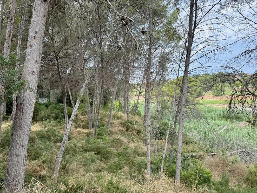 Terreno en venta en Chiva, Valencia photo 1
