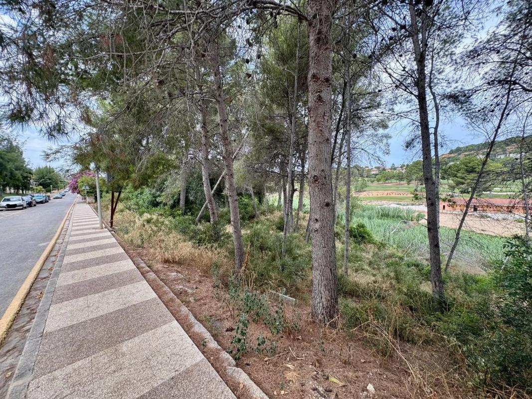 Terreno en venta en Chiva, Valencia photo 3