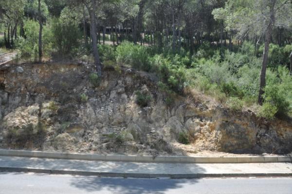 Terreno en Urbanización El Bosque, 19 photo 1