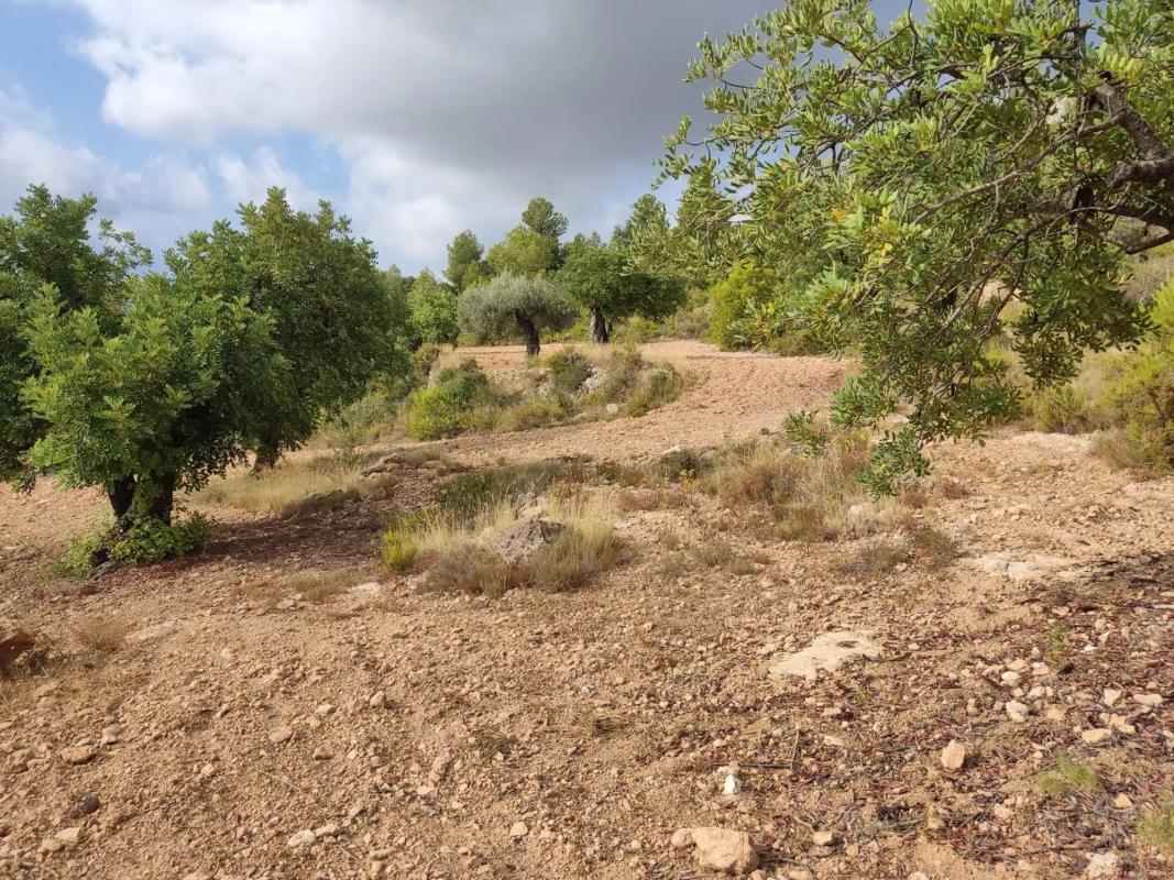 Terreno en venta en Alborache, Valencia photo 2