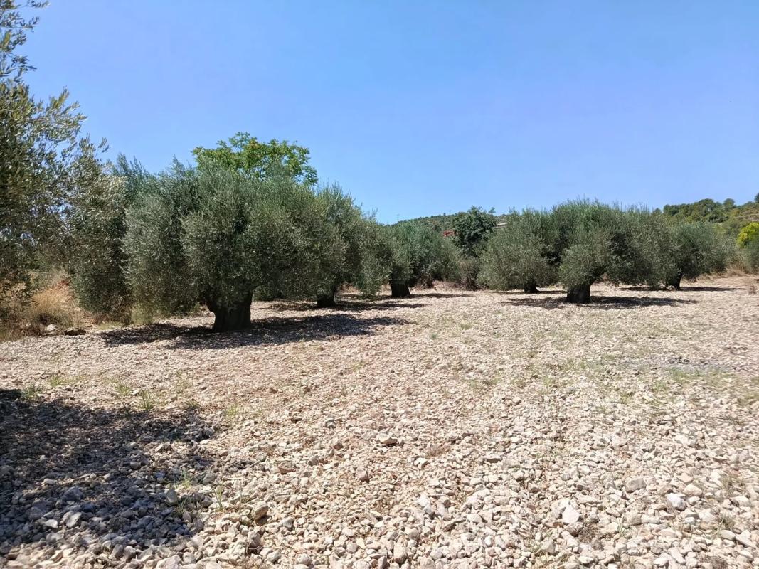 Terreno en venta en Alborache, Valencia photo 3