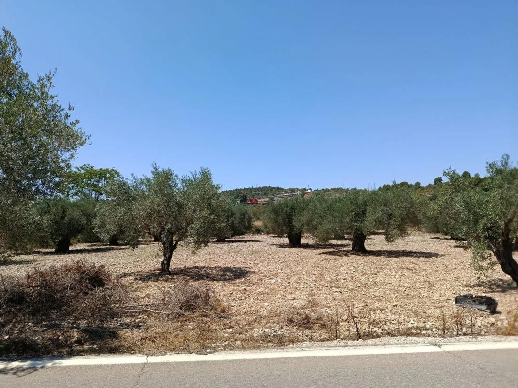 Terreno en venta en Alborache, Valencia photo 4