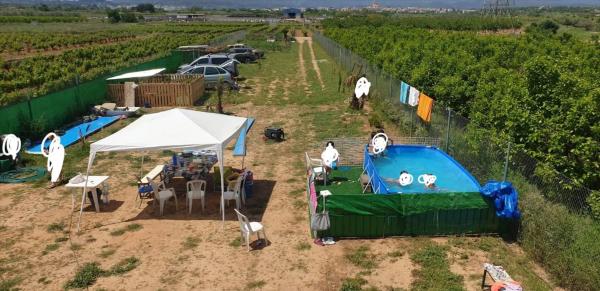 Terreno en Cheste photo 4