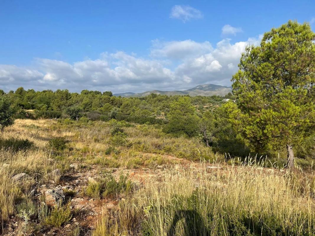 Terreno en venta en Cheste, Valencia photo 1