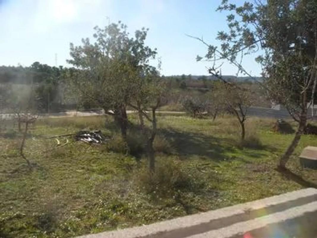 Terreno en venta en Cheste, Valencia photo 3