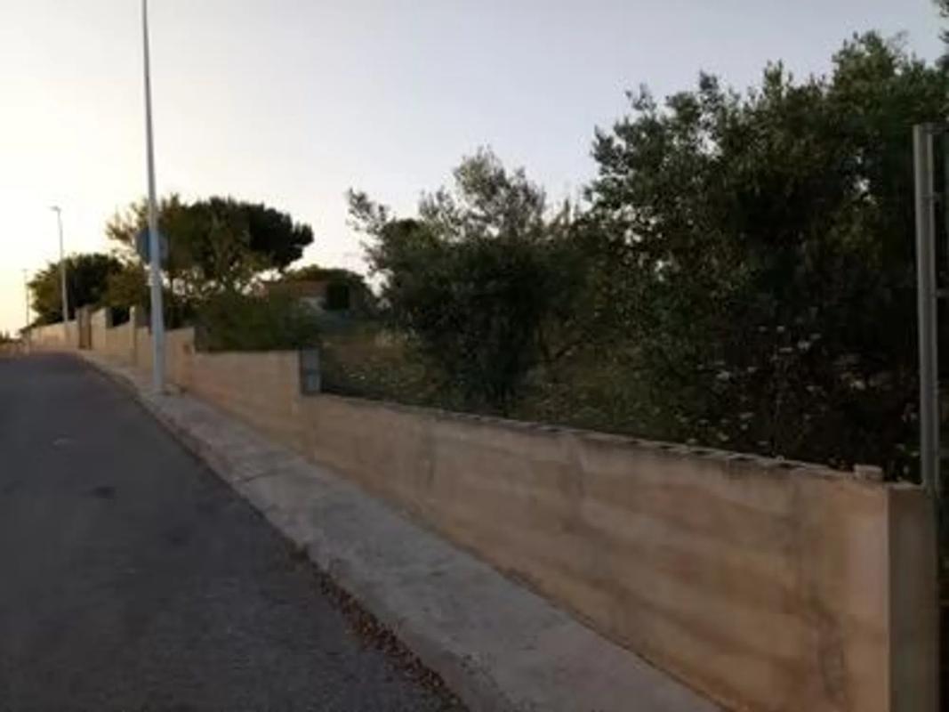 Terreno en venta en Cheste, Valencia photo 4