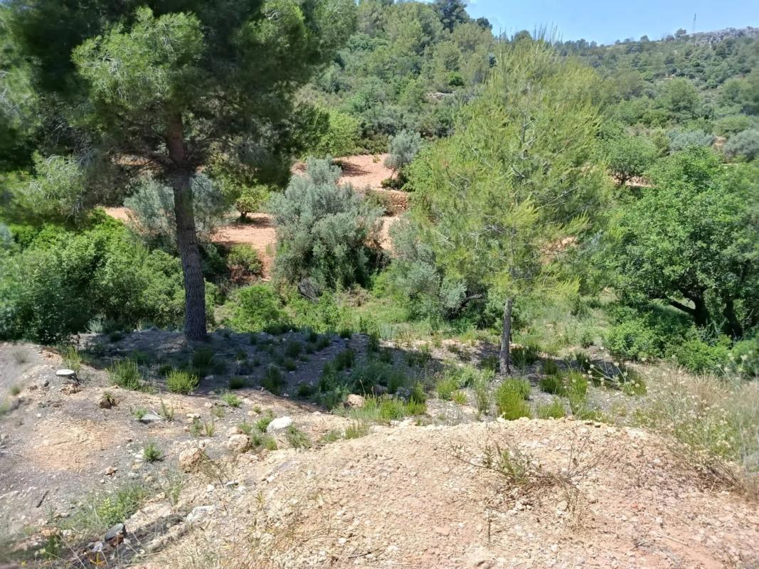 Terreno en venta en Alborache, Valencia photo 2