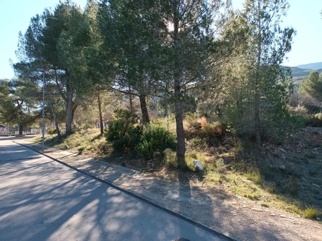 Terreno en venta en Macastre, Valencia photo 5