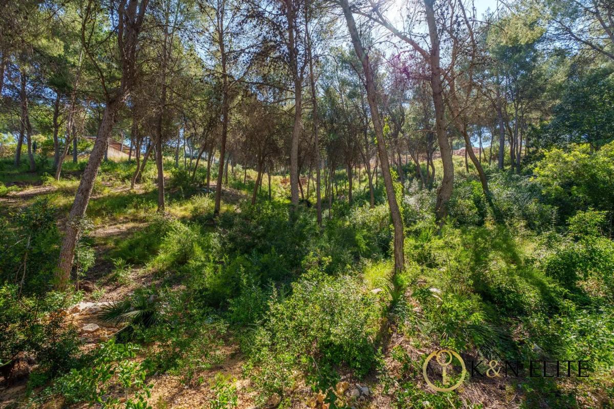 Terreno en venta en Chiva, Valencia photo 5