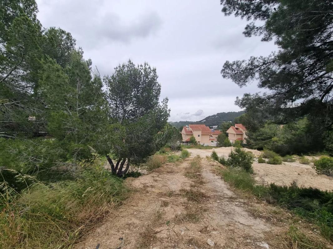 Terreno en venta en Chiva, Valencia photo 3