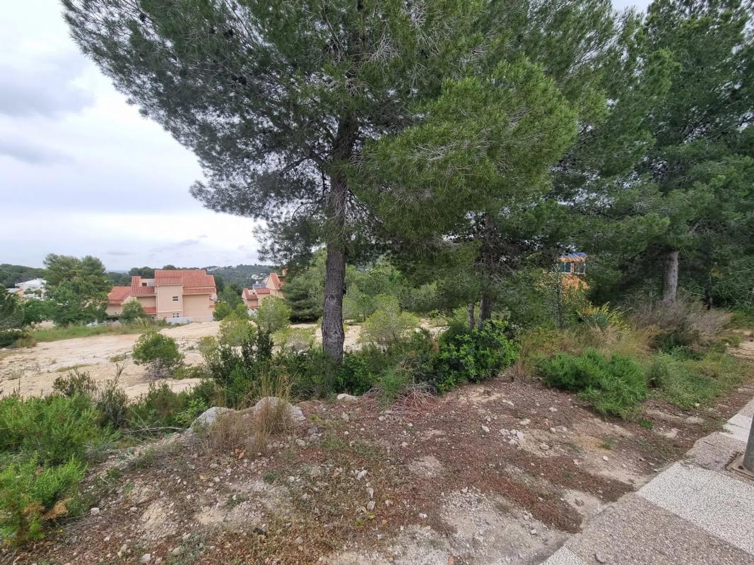 Terreno en venta en Chiva, Valencia photo 5
