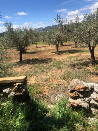 Terreno en A-3 s/n photo 1