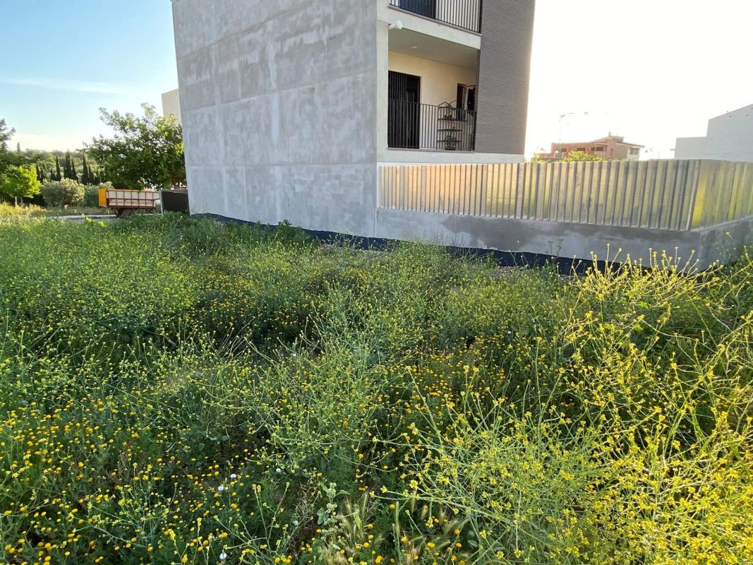 Terreno en venta en Cheste, Valencia photo 5