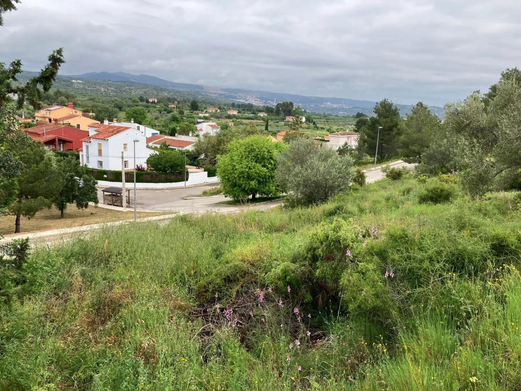 Terreno en venta en Macastre, Valencia photo 4