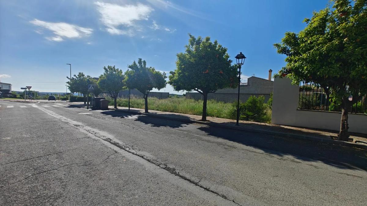 Terreno en venta en Yatova, Valencia photo 4