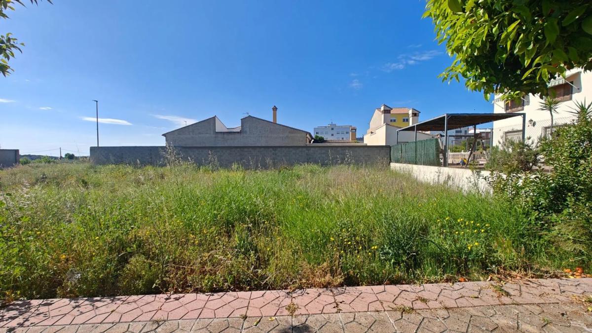 Terreno en venta en Yatova, Valencia photo 5