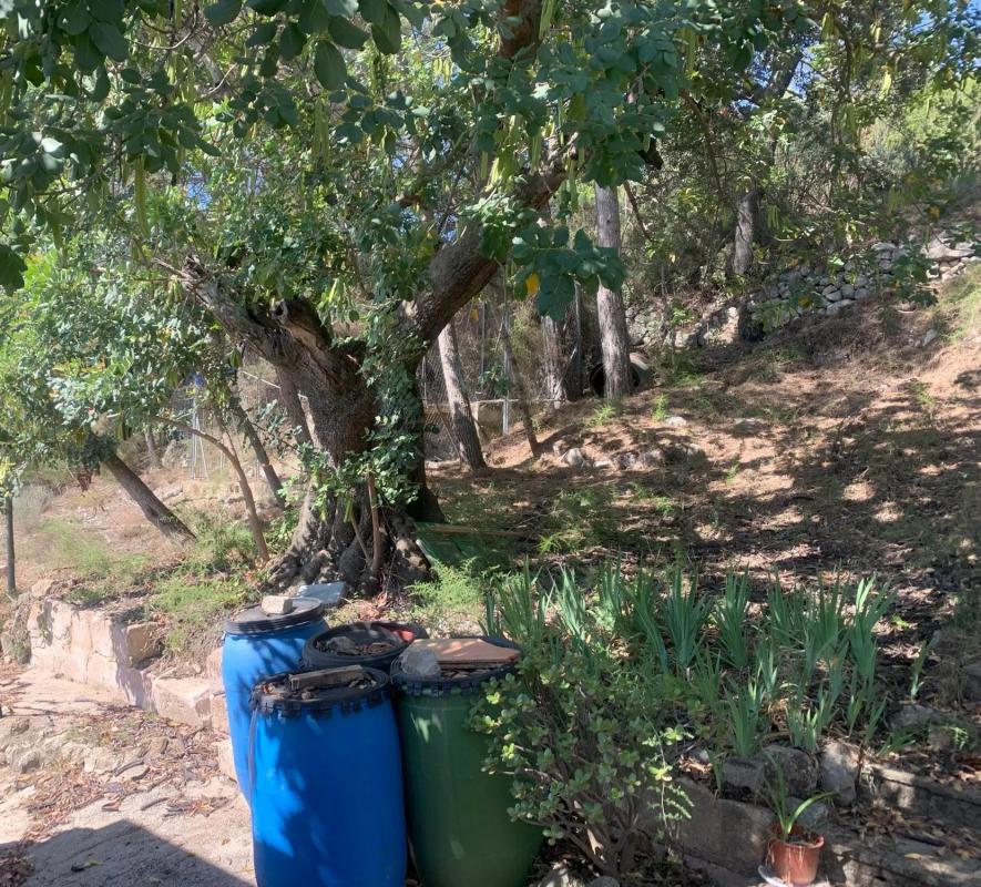 Land for sale in Chiva, Valencia photo 2