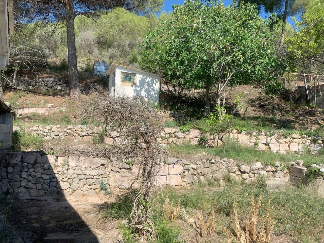 Land for sale in Chiva, Valencia photo 4