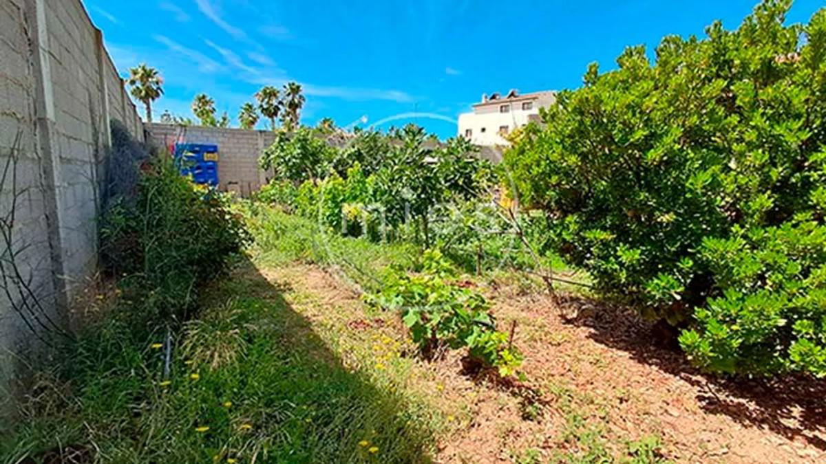 Terreno en venta en Yatova, Valencia photo 5