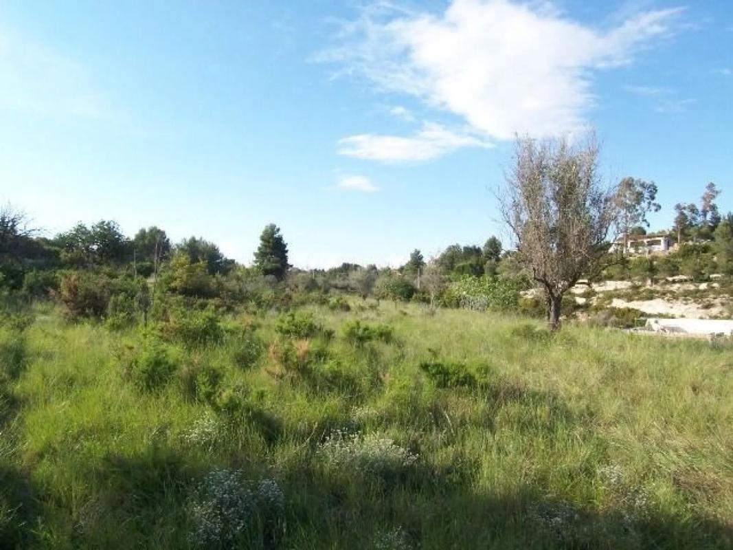 Terreno en venta en Alborache, Valencia photo 2
