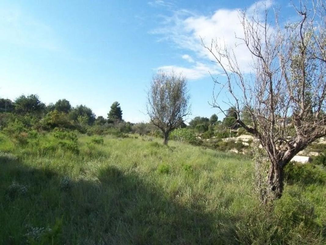 Terreno en venta en Alborache, Valencia photo 5