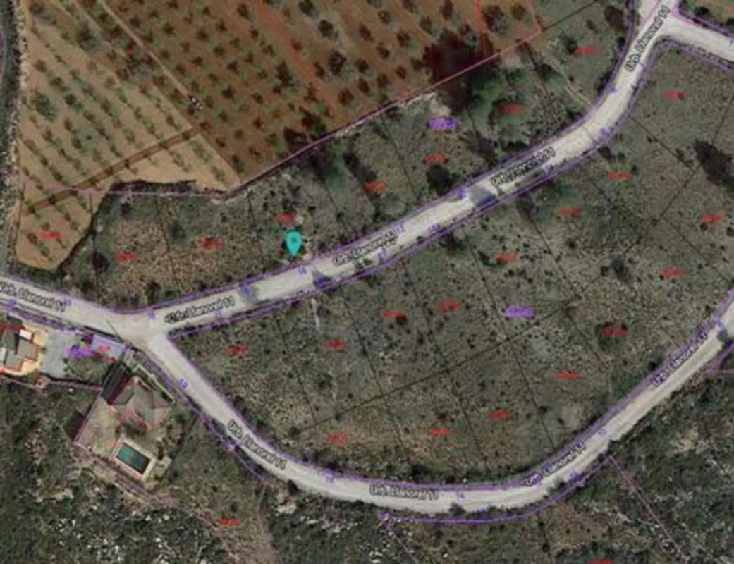 Land for sale in Macastre, Valencia photo 3