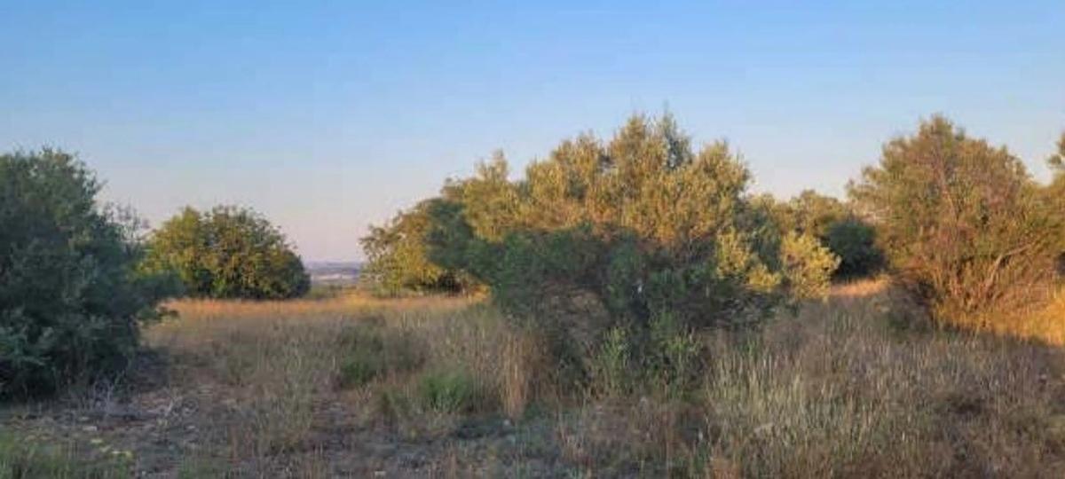 Участок земли на продажу в Макасре, Валенсия photo 4
