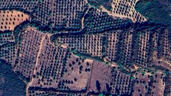 Terreno en Macastre photo 1