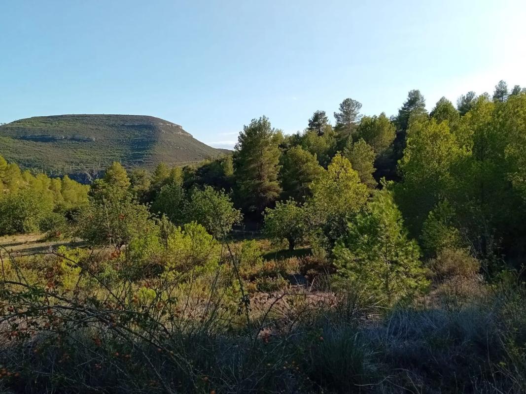 Terreno en venta en Yatova, Valencia photo 1
