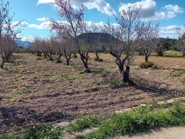 Terreno en calle el Maciz s/n sn photo 2
