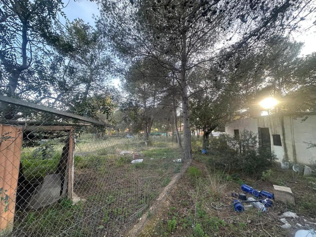 Terreno en venta en Godelleta, Valencia photo 3