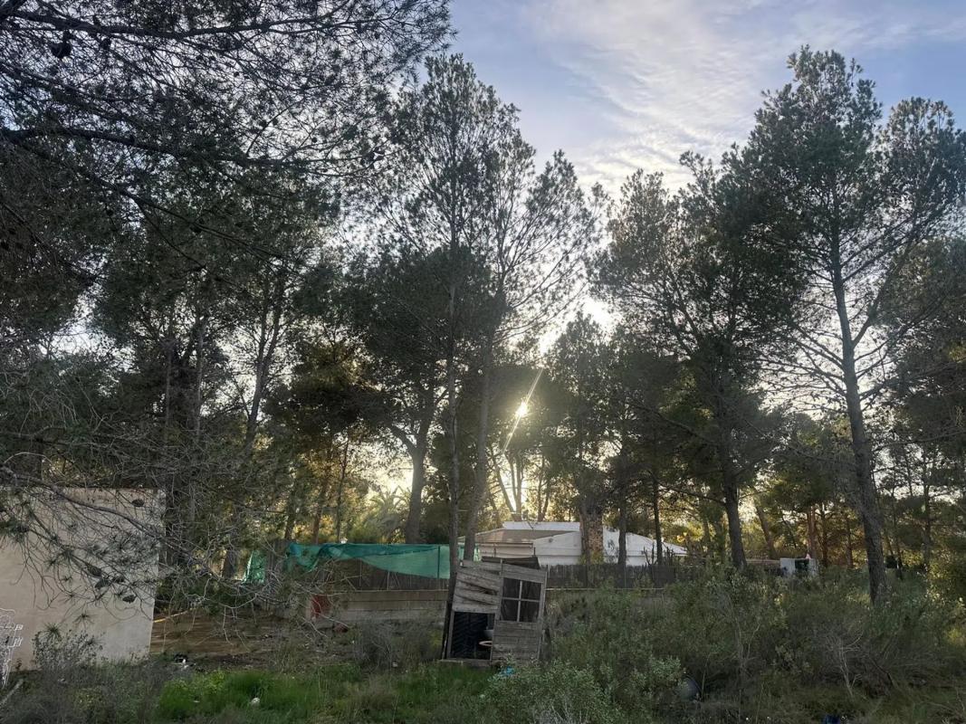 Terreno en venta en Godelleta, Valencia photo 4