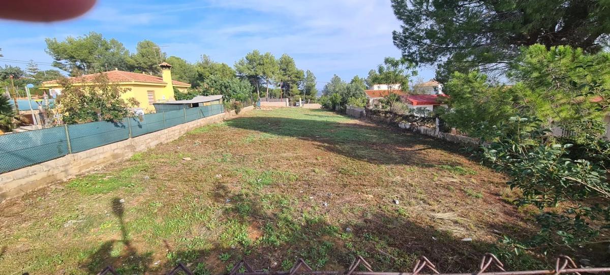 Land for sale in Chiva, Valencia photo 4