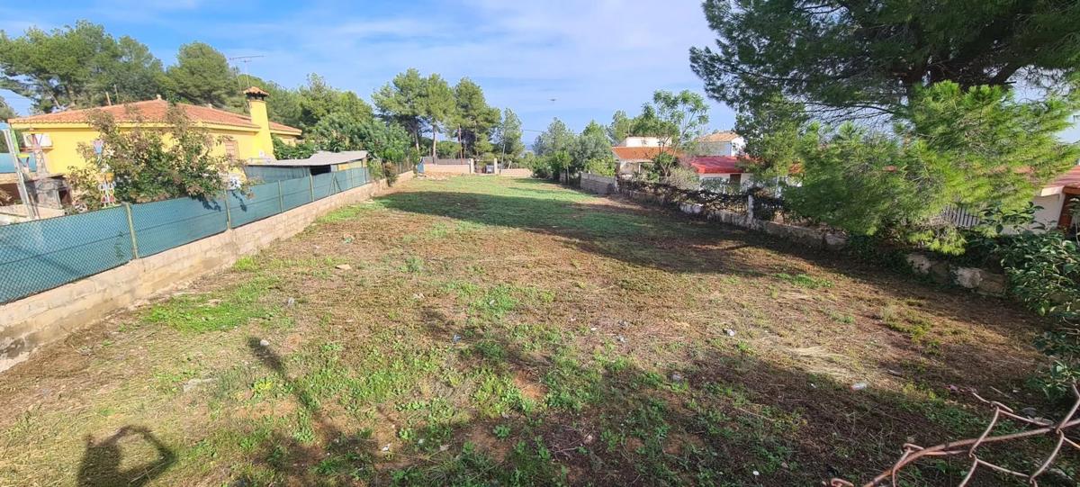 Land for sale in Chiva, Valencia photo 5