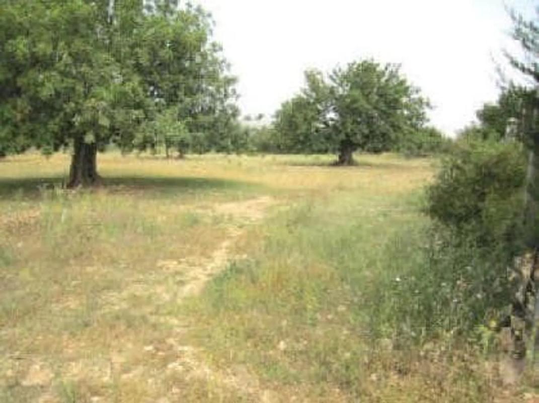 Terreno en venta en Cheste, Valencia photo 2