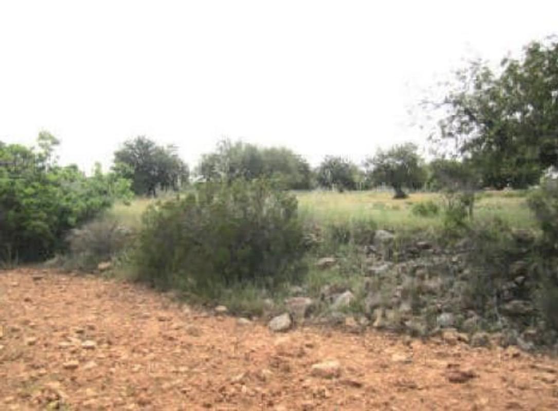 Terreno en venta en Cheste, Valencia photo 4