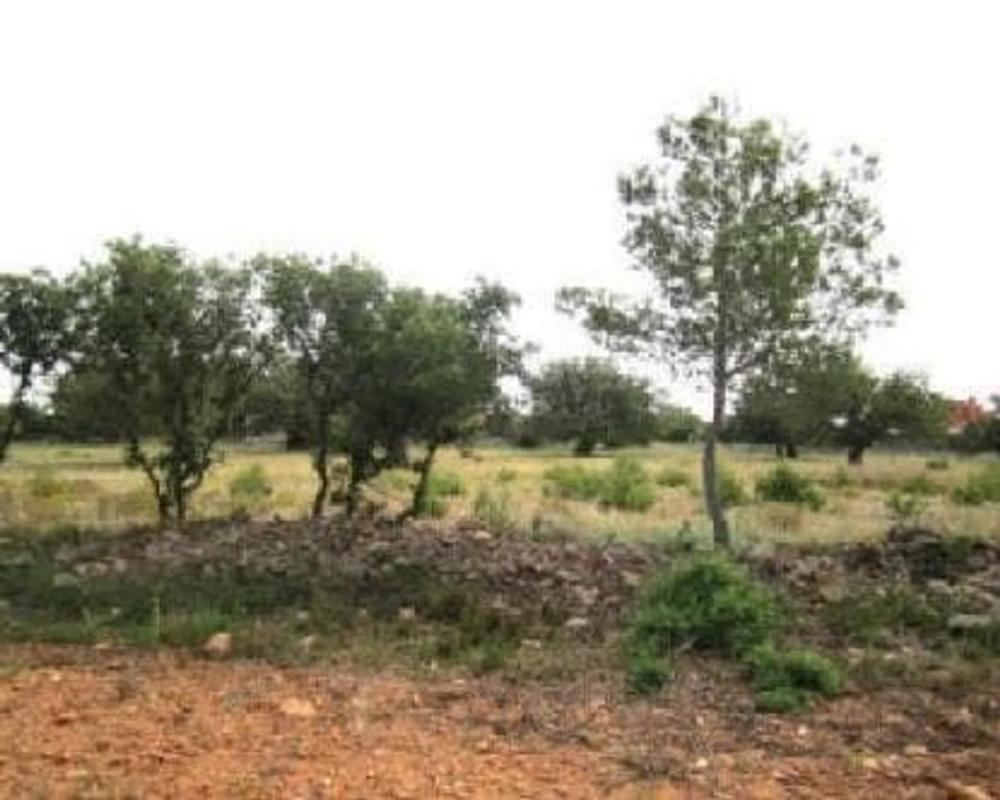 Terreno en venta en Cheste, Valencia photo 5