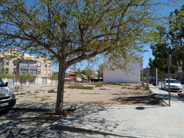 Terreno en camino Gestalgar photo 4