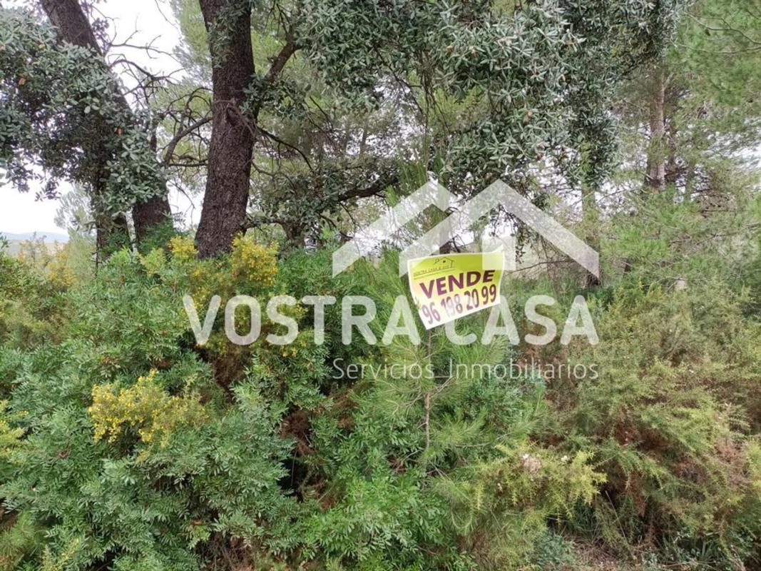 Terreno en venta en Macastre, Valencia photo 1