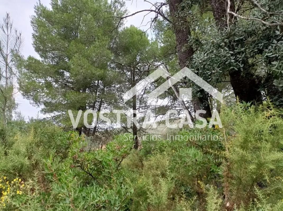 Terreno en venta en Macastre, Valencia photo 2
