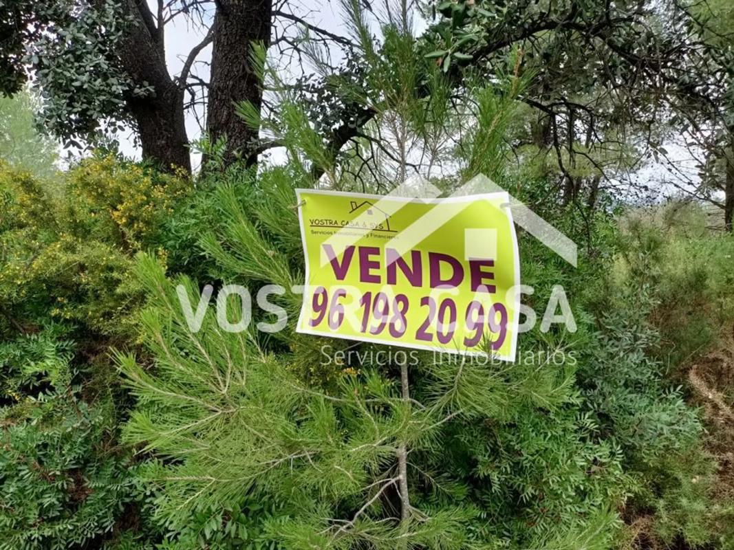 Terreno en venta en Macastre, Valencia photo 4