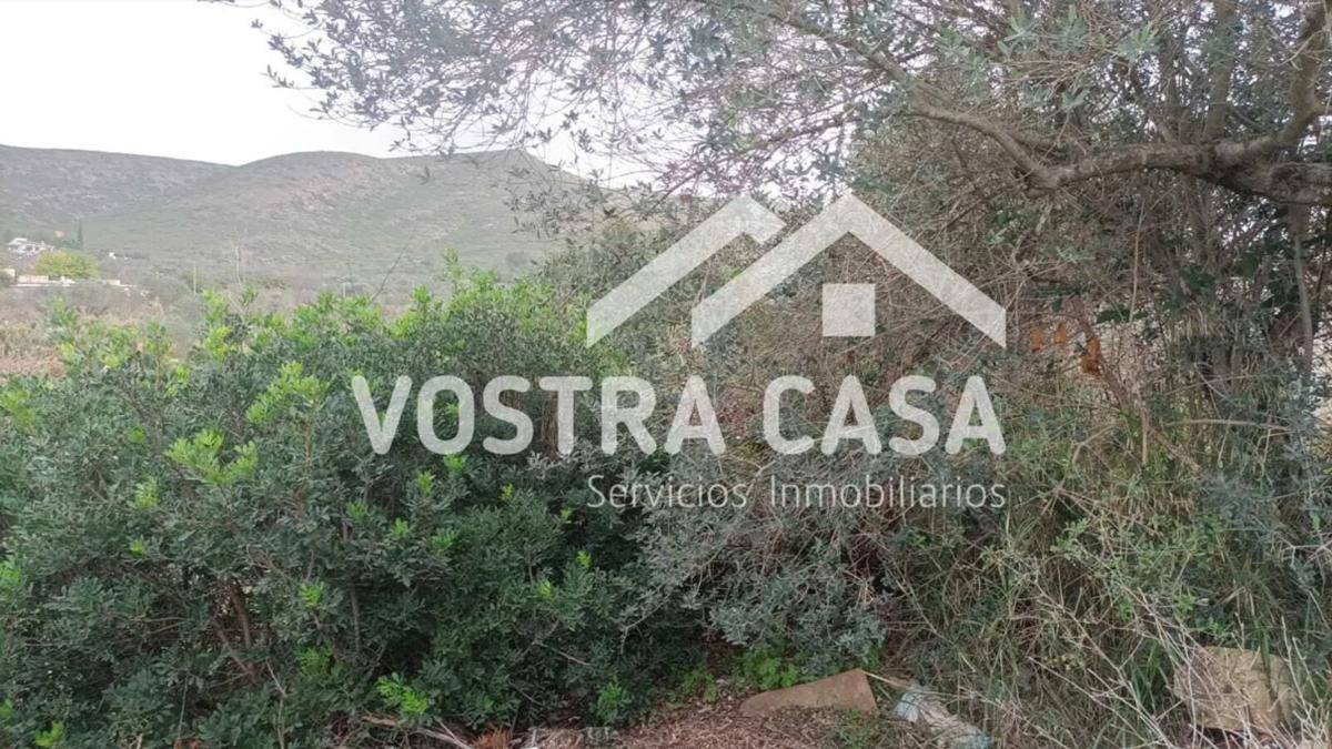Terreno en venta en Macastre, Valencia photo 5